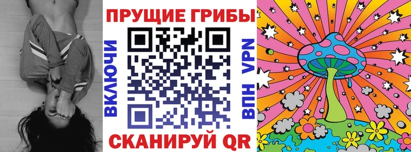 Псилоцибиновые грибы мухоморы  где купить наркотик  Рудня 